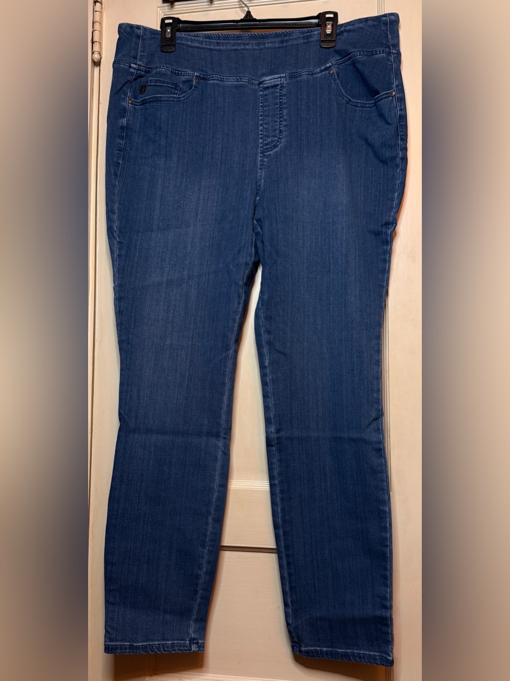 Belle by Kim Gravel Pull Up Stretch Jeans - Medium Wash (Size 20W)